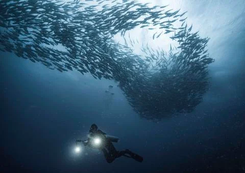 Dive in Philippine islands Stock Photos