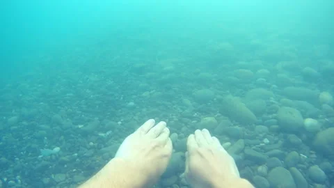 Dive into the sea Video stock 91890948