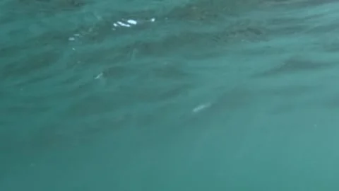 Dive into sea wave Stock Footage 272312307