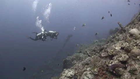 DIVE INTO SHIPWRECK #3 스톡 동영상 218174500