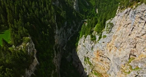 Dive Through Mountain Crevice River Basin Evergreen Forest Covered Cliffs Fpv Stock Footage 289411341