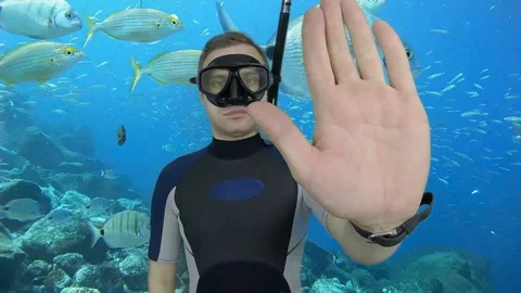 Divemaster shows signal – STOP Stock Footage 124320900
