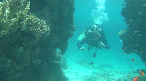 Diver 1 스톡 동영상 902869