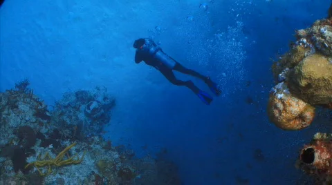 Diver from above PC with bubbles Stock Footage 721146