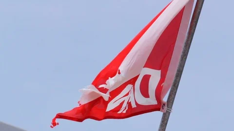 Diver Alert Network scuba flag flapping in breeze on dive boat.  Stock Footage 87372073