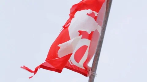 Diver Alert Network scuba flag flapping in breeze on dive boat.  Stock Footage 87372090