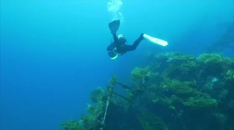 Diver alongside wreck Video stock 58381409
