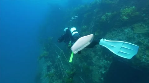 Diver alongside wreck Video stock 58381419