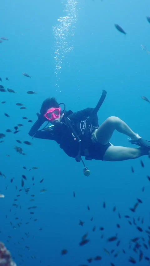 Diver among corals and small fish Stock Footage 267725937