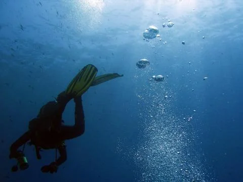 Diver and bubbles Stock Photos