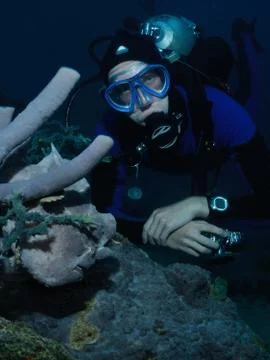 Diver and frogfish Stock Photos