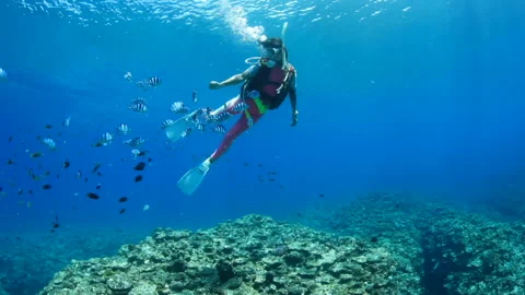 Diver and Oya Bitcha Video stock 331997224