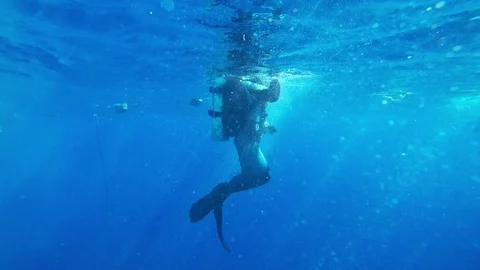 Diver and sea Stock Footage 83992744