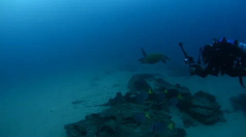 Diver and turtle Stock Footage 33873449
