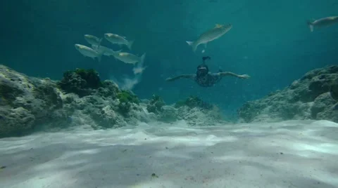 Diver Approaches Camera as Fish Feed on the Bottom with Sound Stock Footage 66776861