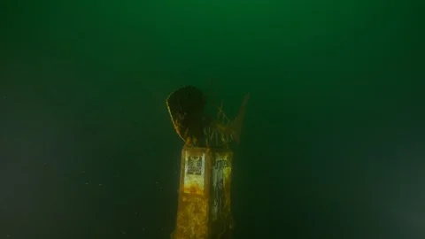 Diver approaching to the fish sculpture at the bottom of the lake, Trevignano Stock Footage 104454918