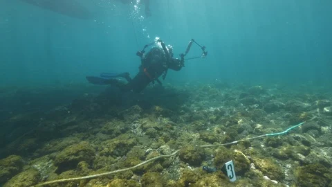 Diver approaching to the simulation site of underwater crime, Ustica, Med sea Stock Footage 124024194