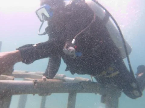 A diver arrange the substrate at artificial reef area in Malaysia Stock Photos