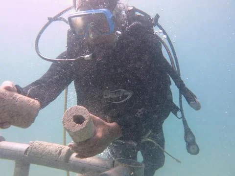 A diver arrange the substrate at artificial reef area in Malaysia Stock Photos