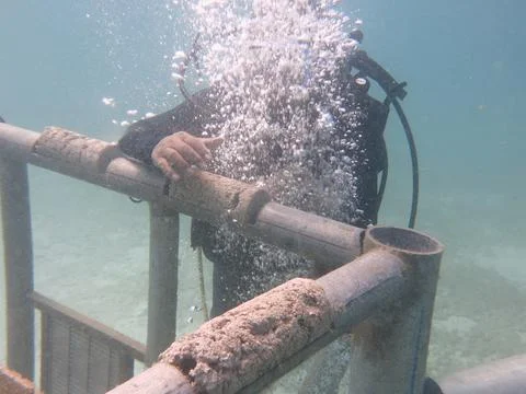 A diver arrange the substrate at artificial reef area in Malaysia Stock Photos