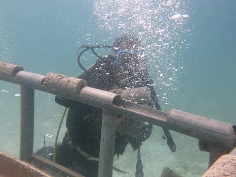 A diver arrange the substrate at artificial reef area in Malaysia Stock Photos