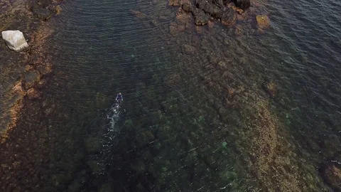 Diver in the atlantic Stock Footage 96078229