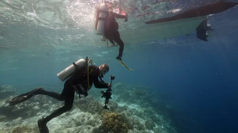 Diver on background School of fish underwater landscape in sea of Banda Video stock 120724076