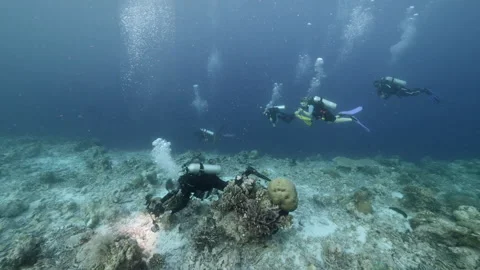 Diver on background School of fish underwater landscape in sea of Banda Video stock 149576762