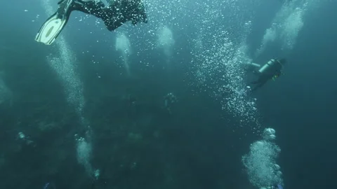 Diver on background School of fish underwater landscape in sea of Banda Video stock 149576897