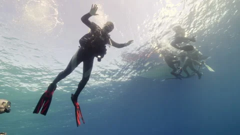 Diver on background School of fish underwater landscape in sea of Banda Stock Footage 155150739