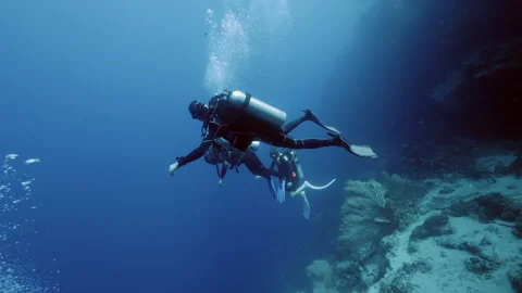 Diver on background School of fish underwater landscape in sea of Banda Video stock 155150800