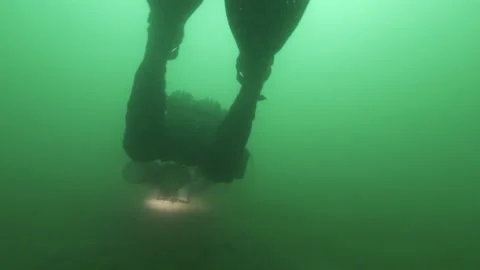 Diver from behind explores the grassy bottom of the lake, Martignano Lake	 Stock Footage 225029898