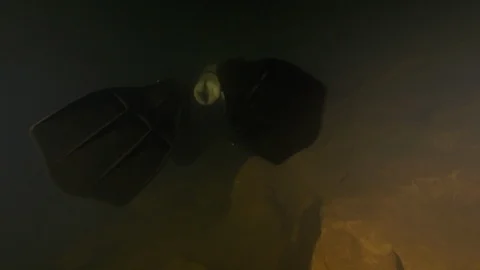 Diver from behind swims on the rocky bottom of the cave,Risorgenza Amaseno,Italy Stock Footage 108991602