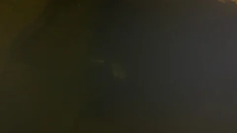 Diver binds the guide line to the rock of the cave, Risorgenza Amaseno, Italy Stock Footage 109050187