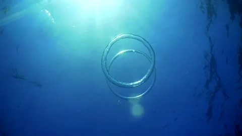 Diver Blow Bubble Rings while Freediving Cape Palos Cartagena Murcia Spain Stock Footage 130909692