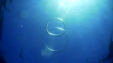 Diver Blow Bubble Rings while Freediving Cape Palos Cartagena Murcia Spain Stock Footage 130909694