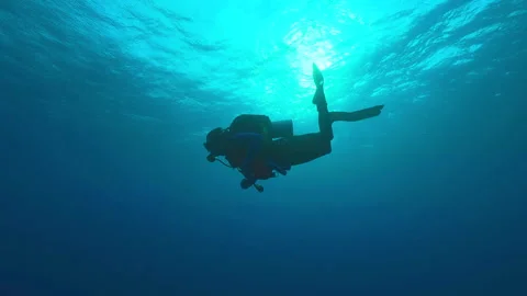 Diver in the blue 스톡 동영상 235172824