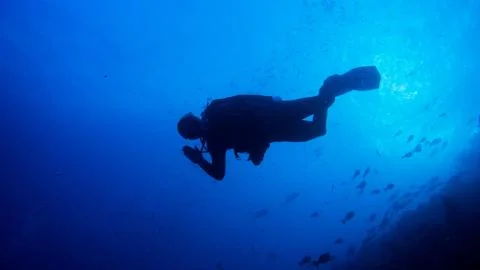 Diver in the Blue Stock Photos