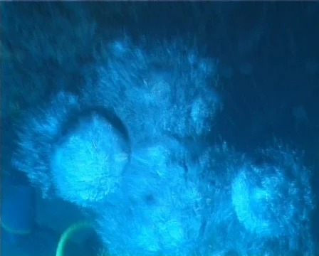 Diver bubbles (D065) 動画素材 150053