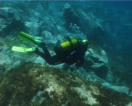 Diver (C012) Video stock 99344