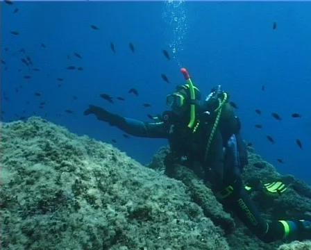 Diver (C013) 動画素材 100729