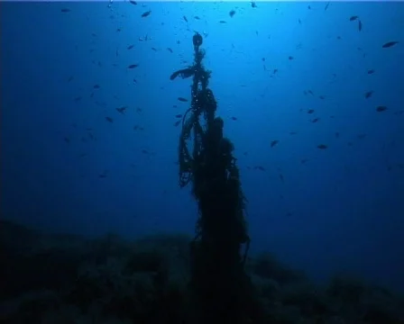 Diver (C074) 動画素材 103177