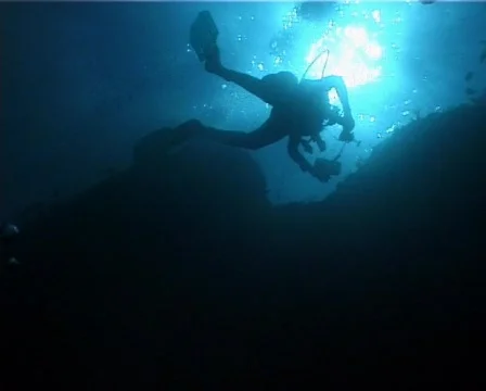 Diver (C103) 動画素材 104319