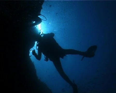 Diver (C136) 動画素材 104735