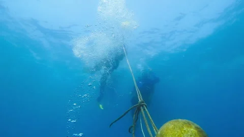 Diver carrying a buoy Stock Footage 263115487