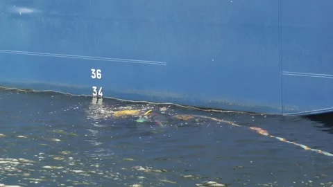 Diver checking the bottom of the ship while holding on to the rope Vidéo 254455558