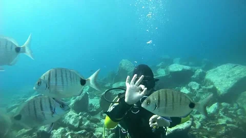 Diver checking the decompression limit on his dive computer. Stock Footage 158799355