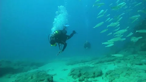 Diver is checking pressure in his manometer Vidéo 158799641