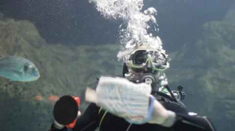 Photos of Divers Cleaning Aquarium Tanks