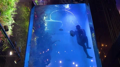 A diver cleans a large aquarium with fish. Restaurant interior details. 库存影片 311073854